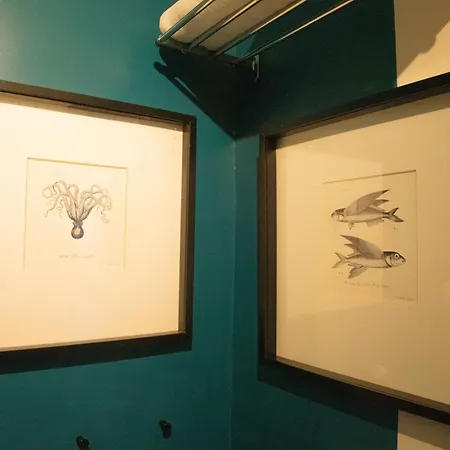 Cosy Vue Face Nausica * Boulogne-sur-Mer