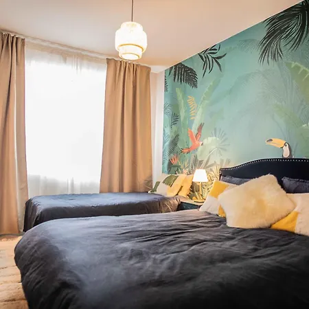 Cosy Vue Face Nausica *